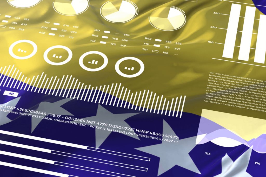 E-Governance Activity in Bosnia and Herzegovina