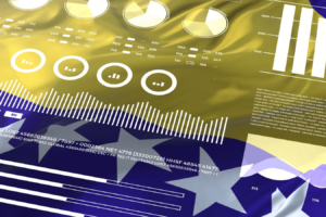 E-Governance Activity in Bosnia and Herzegovina