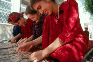 Online School of Social Entrepreneurship in Central Asia