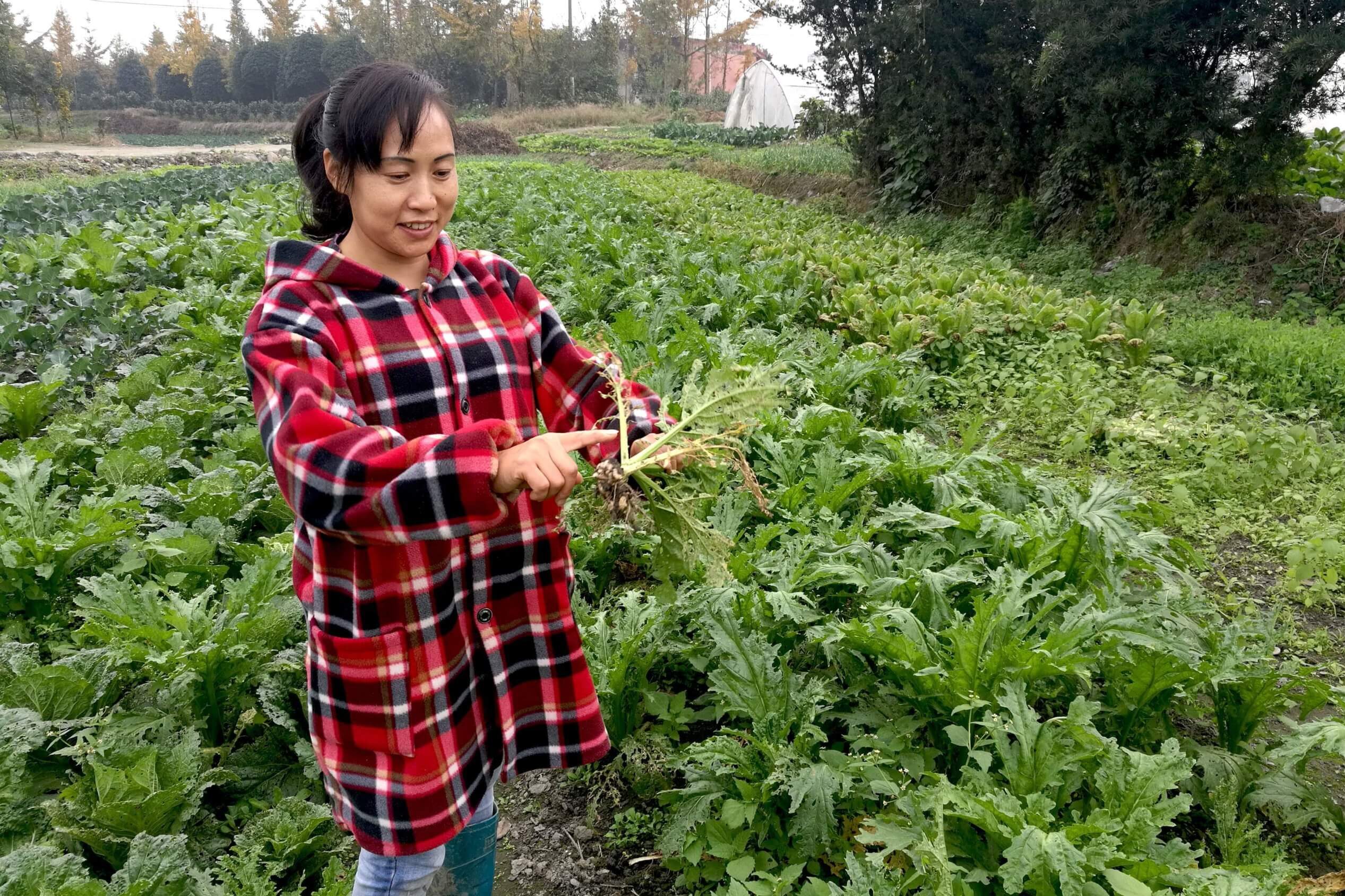 China Rural Women’s Empowerment