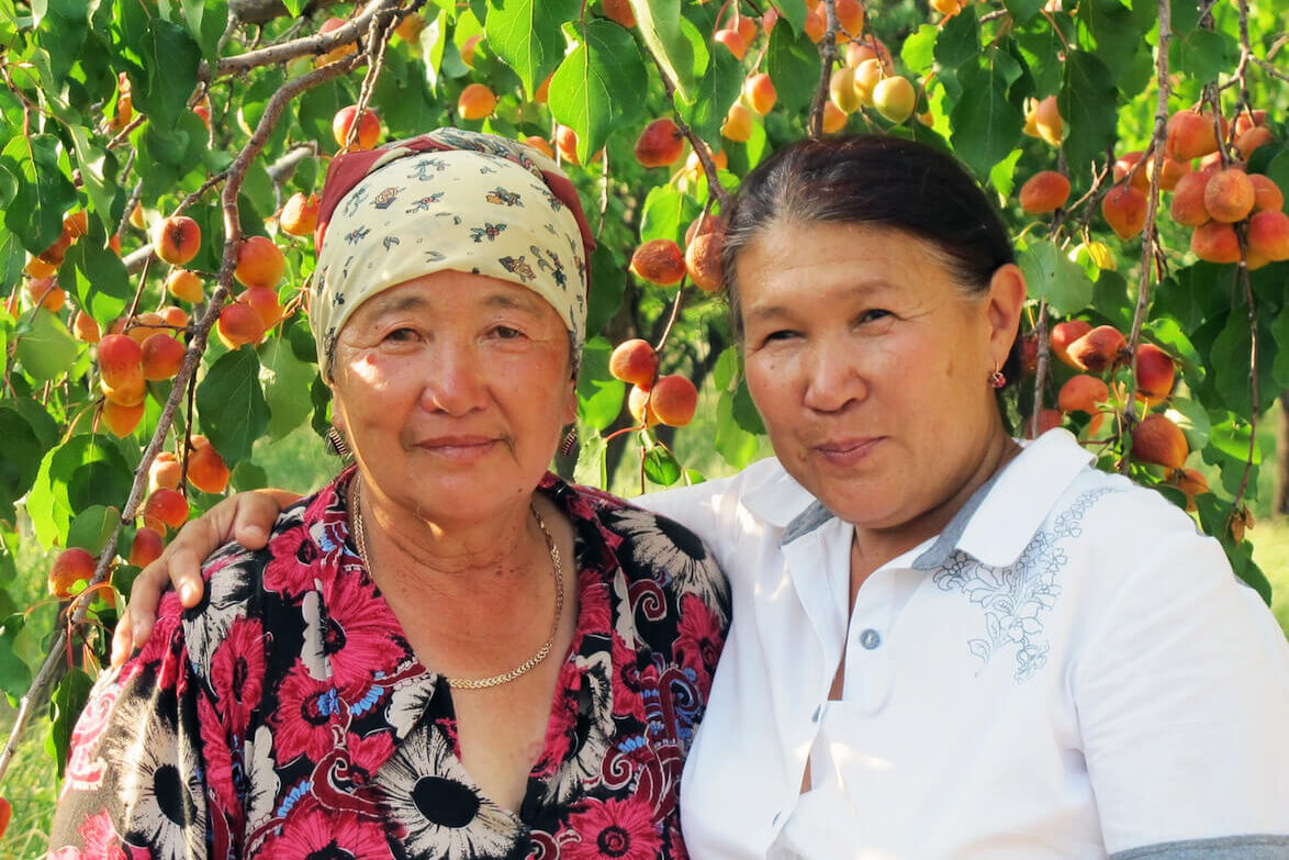Women in an apricot orchard