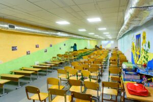 The Shelter Program