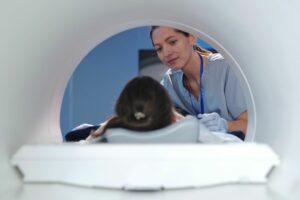 Improving Access to MRIs in Northern Kazakhstan